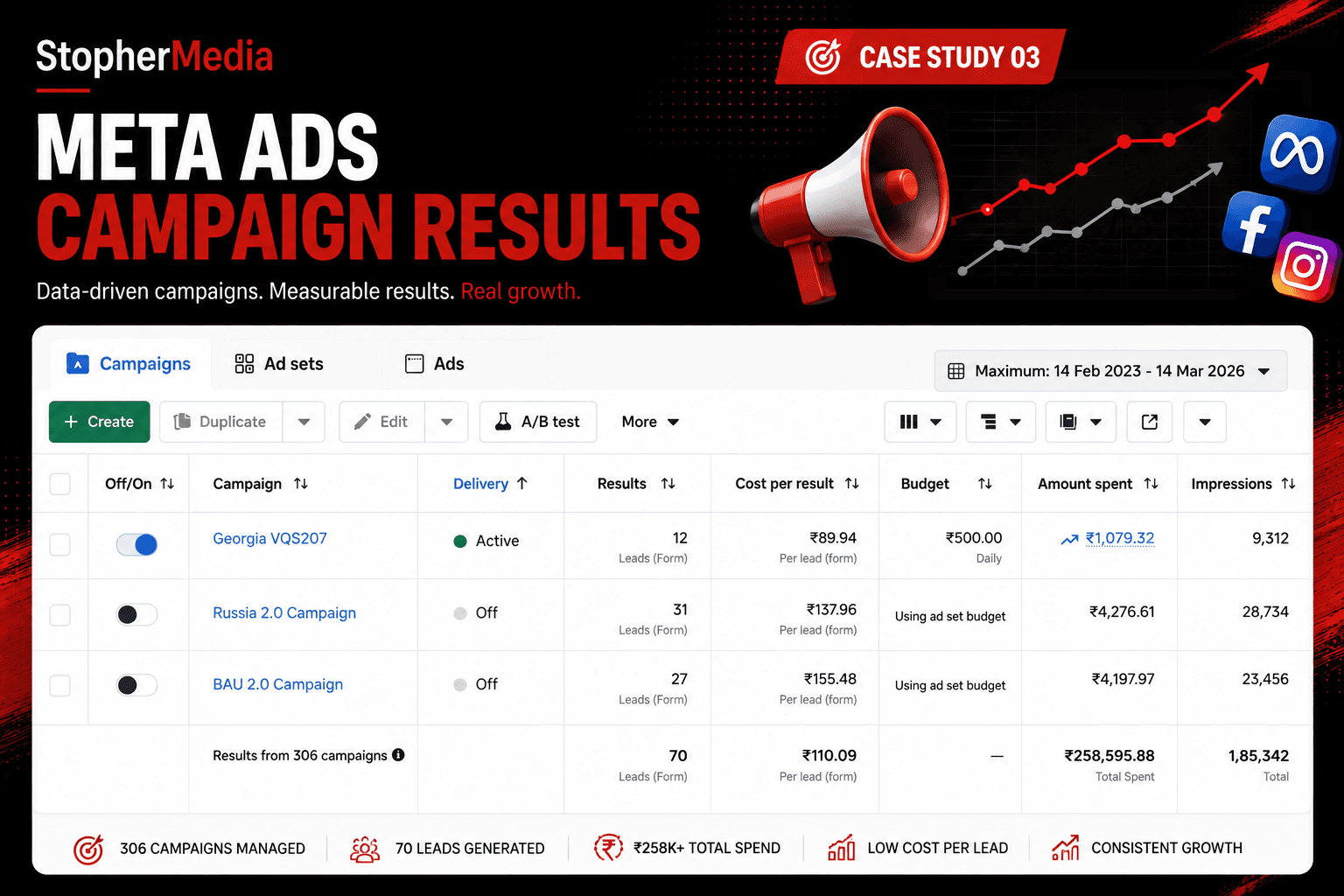 Meta Ads campaign report — Multi-Account Campaign Portfolio